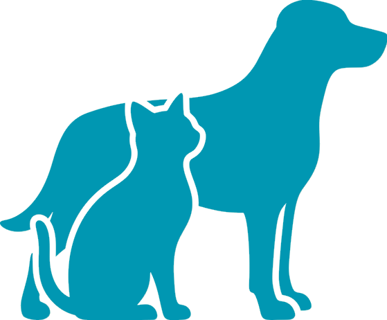 Animals / Pets