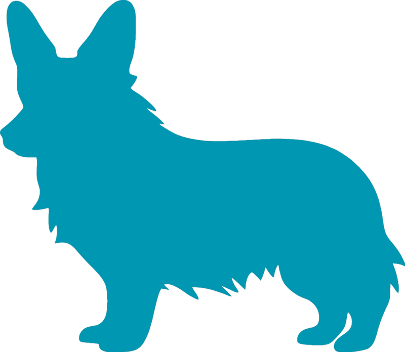 Dogs