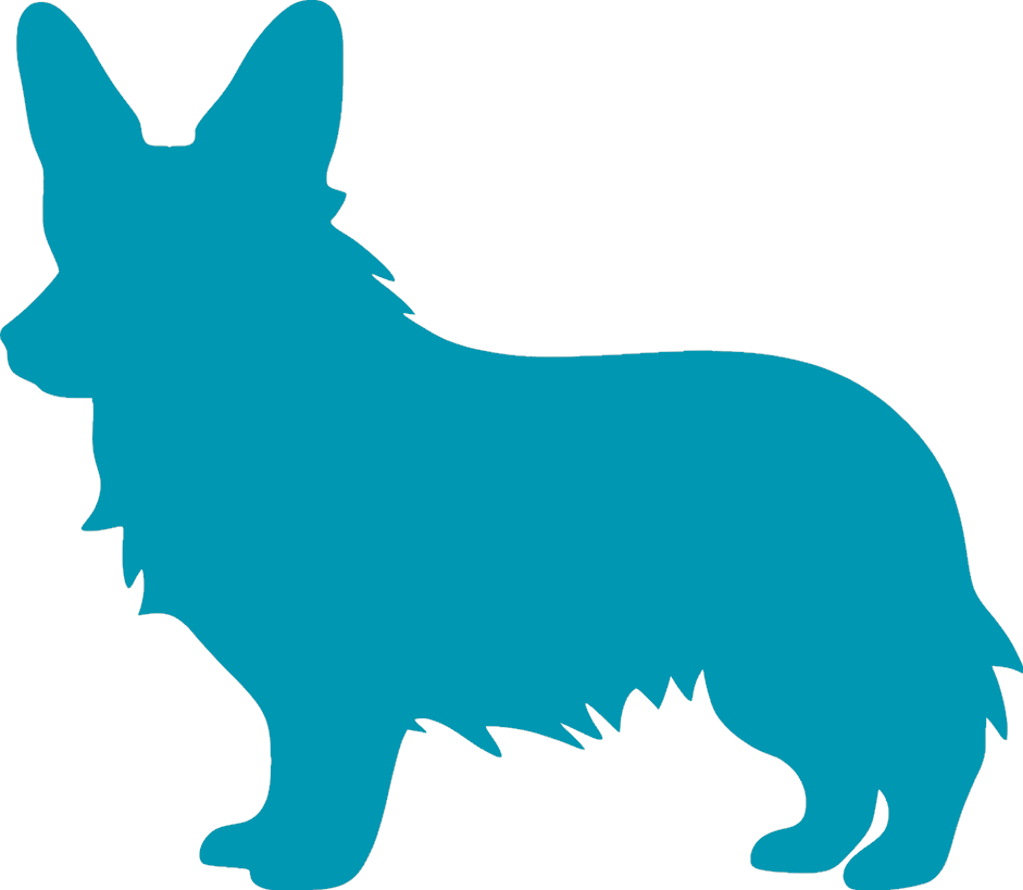 Dogs