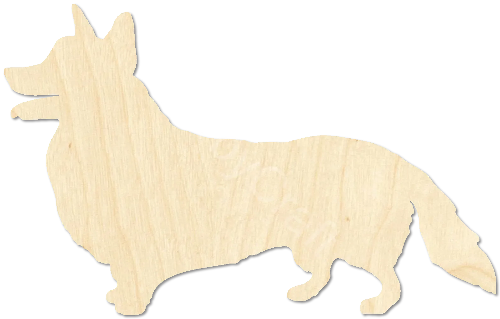 Corgi