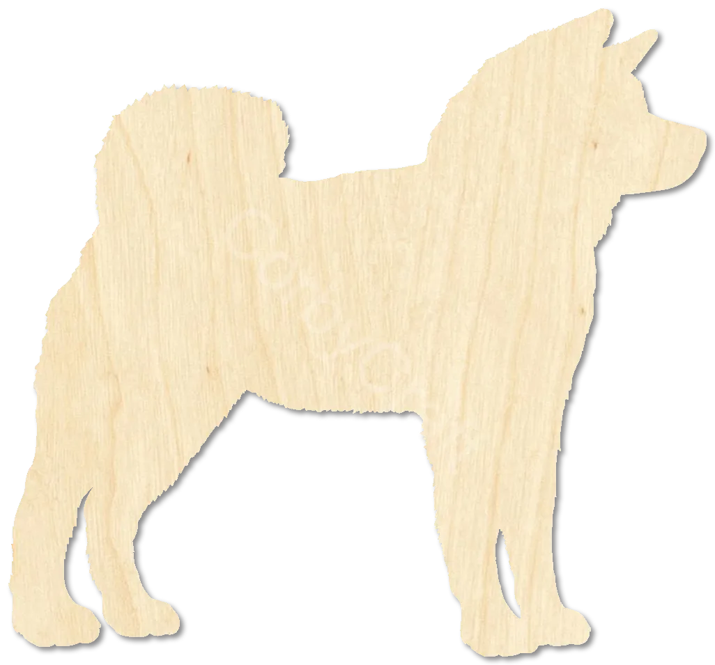Akita Dog