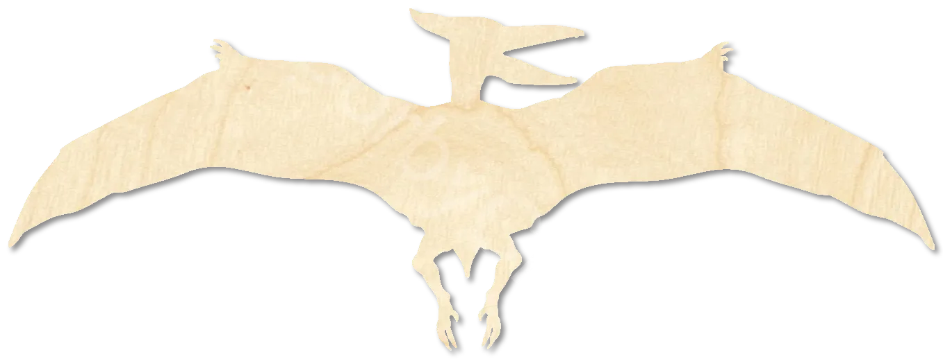 Pterodactyl Dinosaur