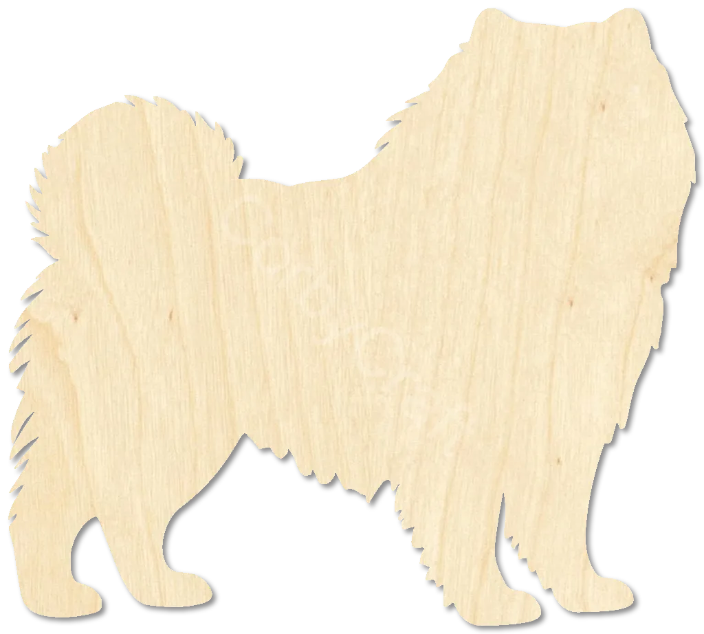 Chow Chow
