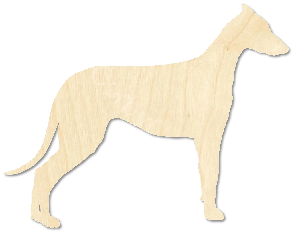 Greyhound Dog