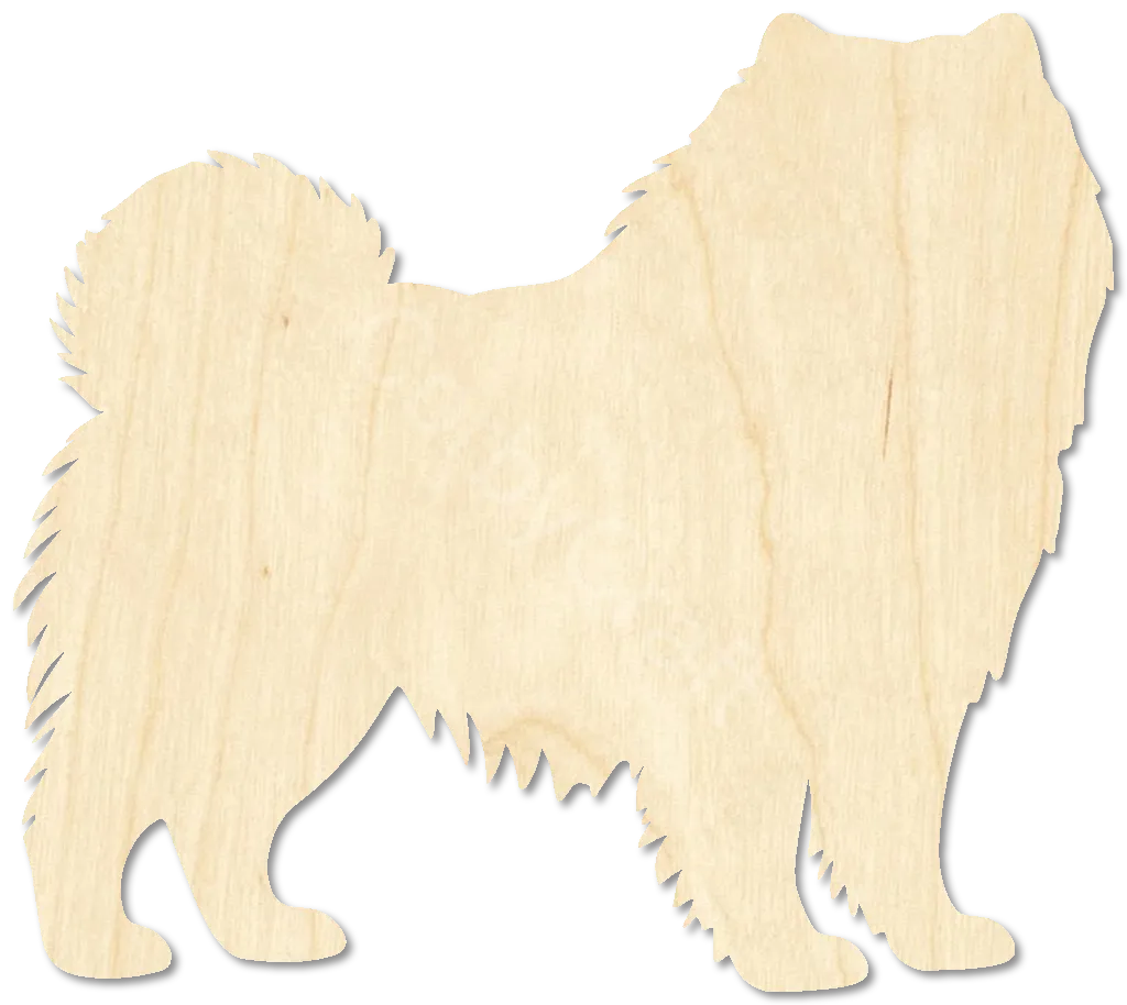 Chow Chow Dog