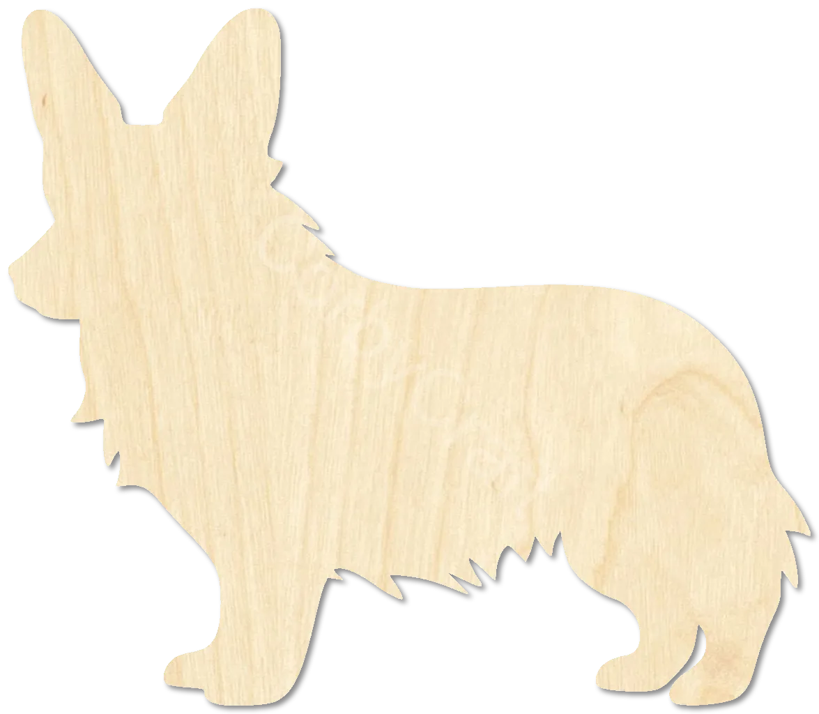 Corgi