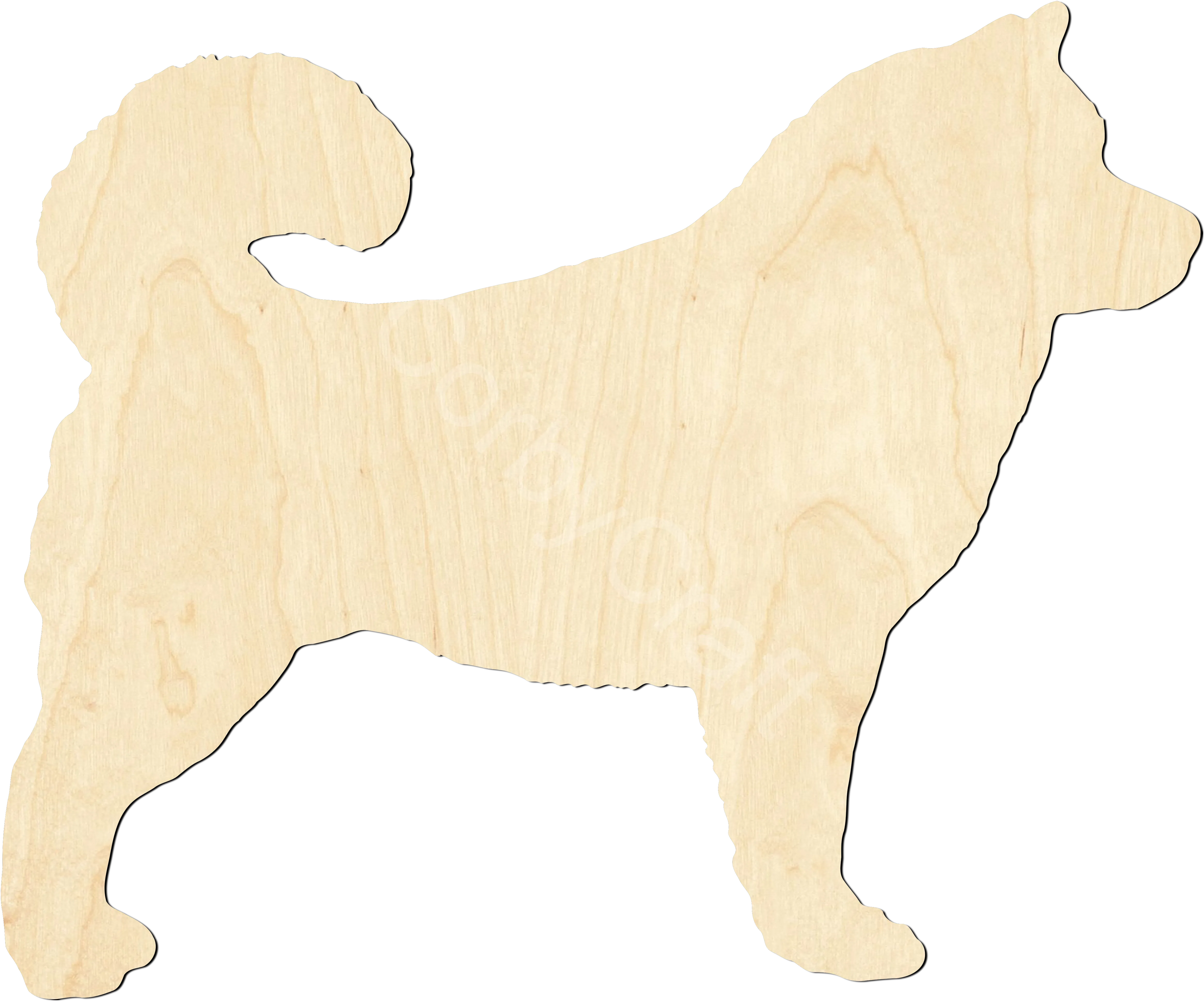 Alaskan Malamute
