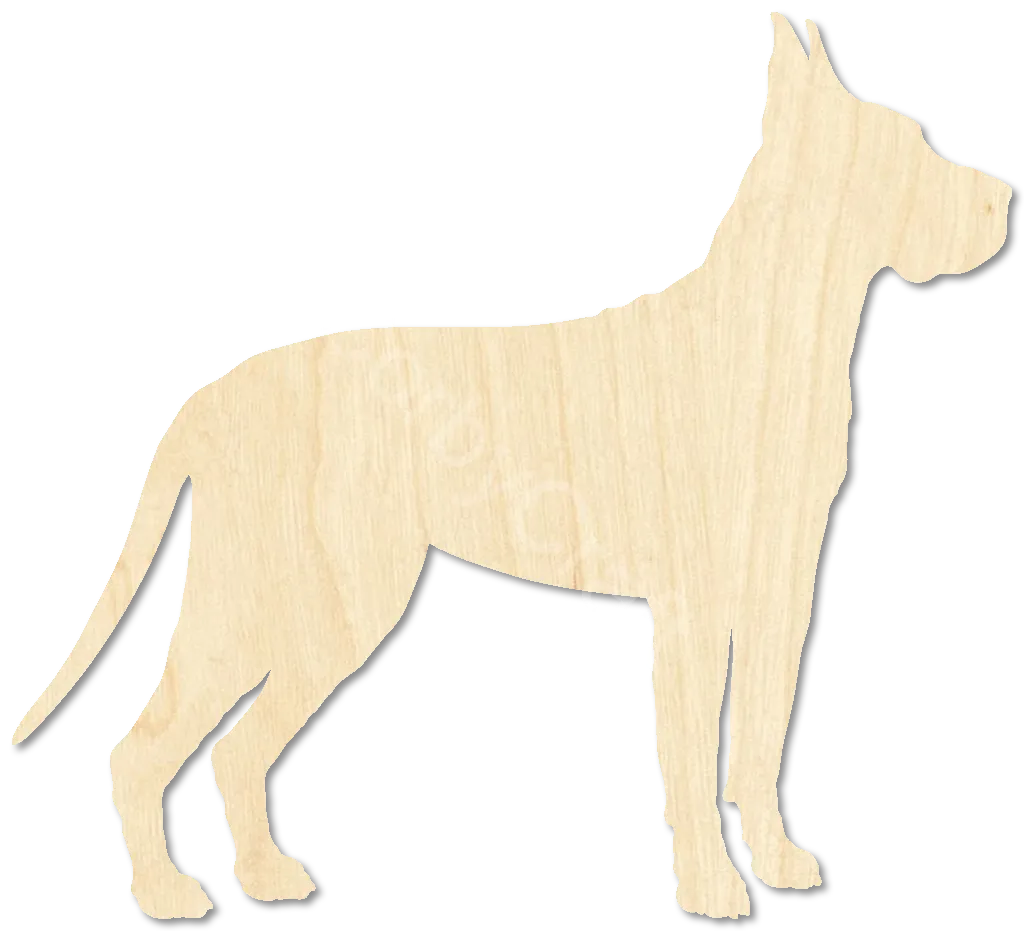 Great Dane