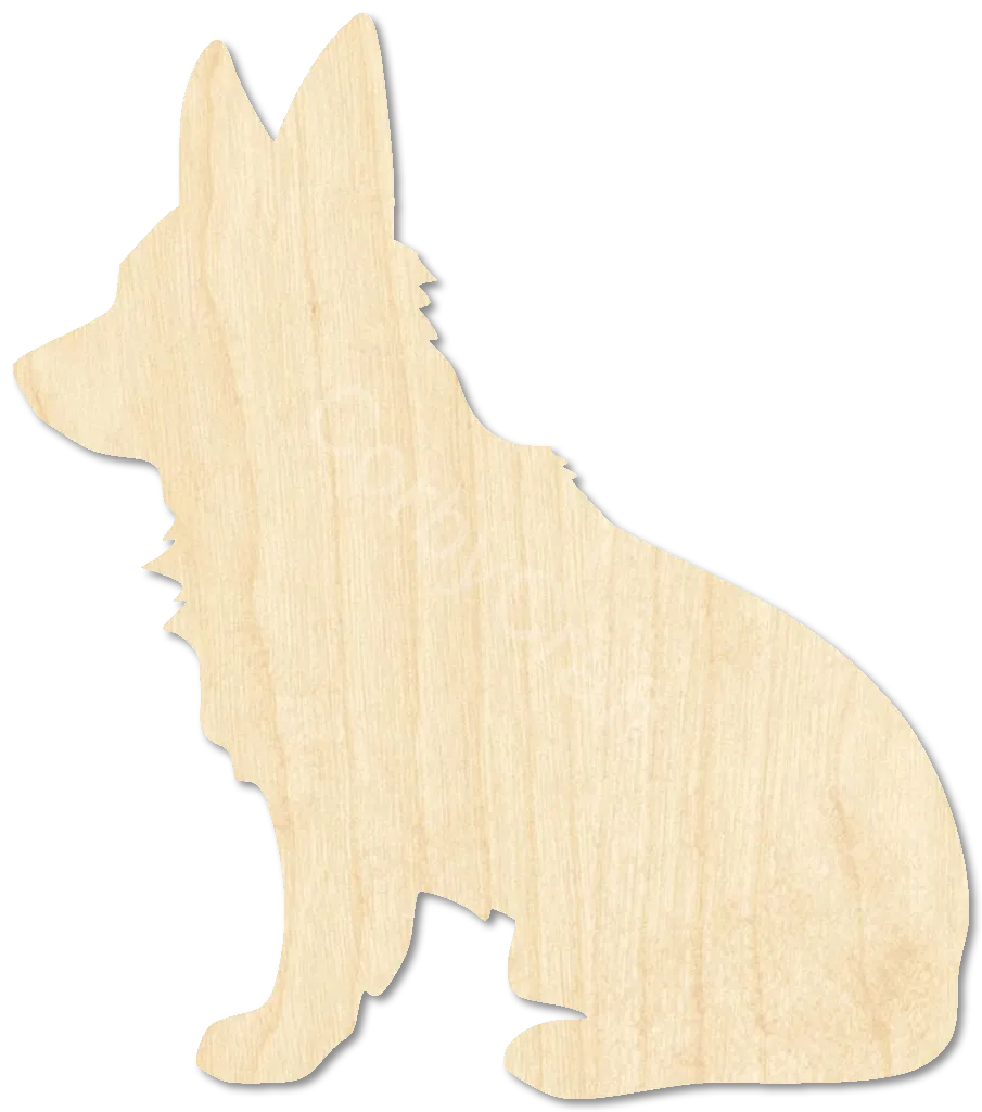 Corgi Dog