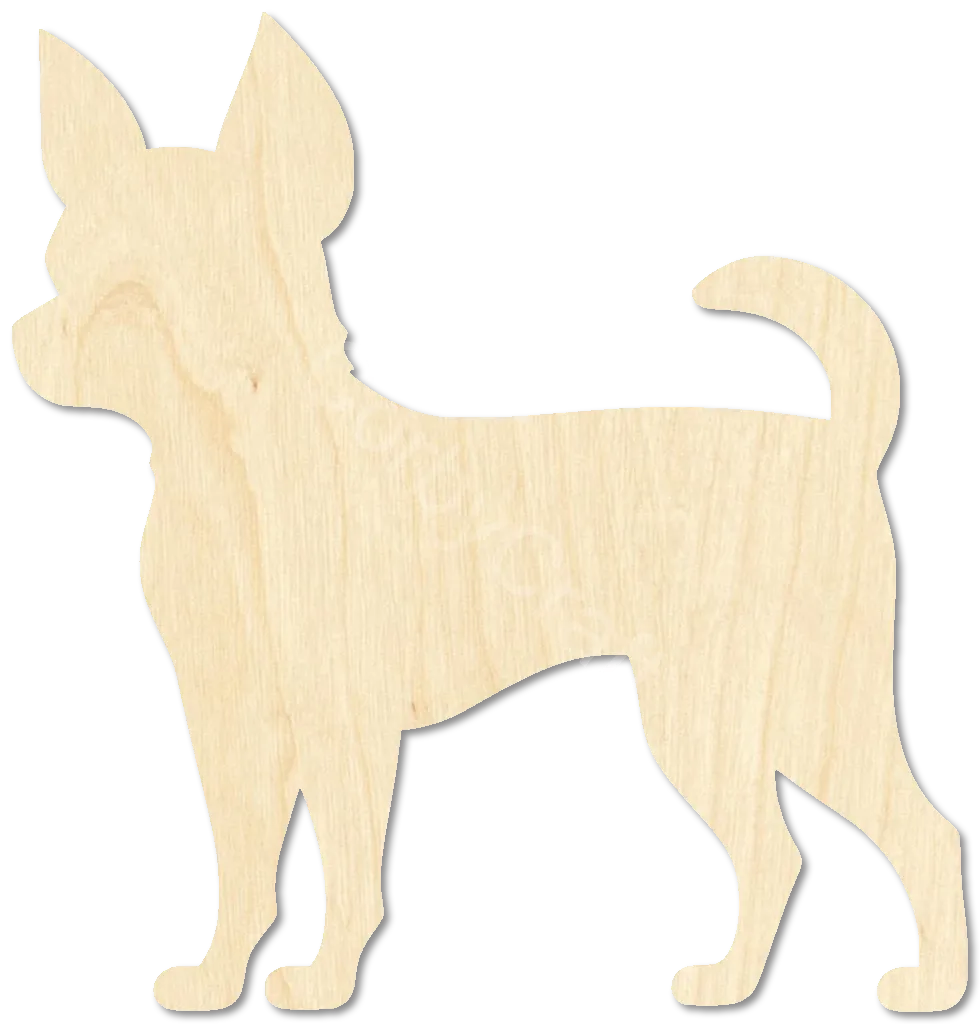 Chihuahua Dog