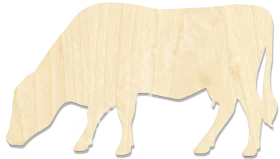 Cow #3